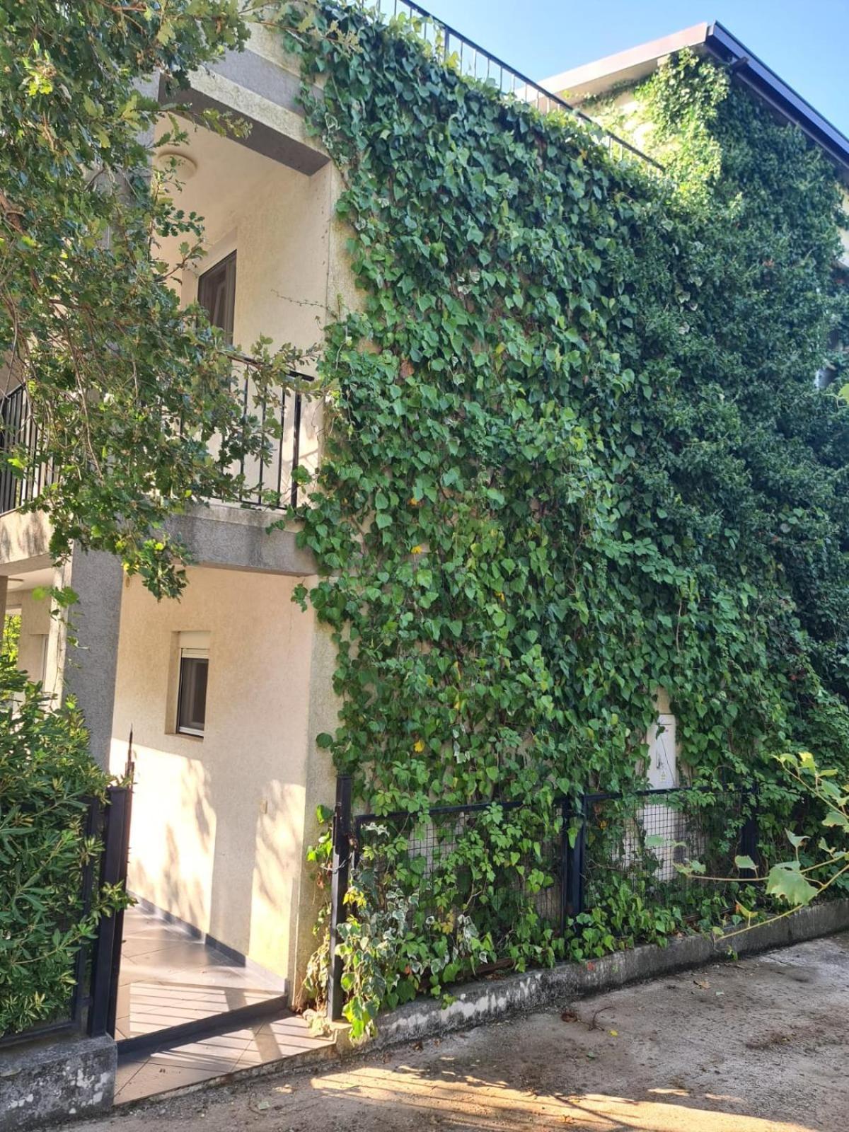 Villa Nadija Čanj Dış mekan fotoğraf